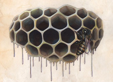 Hive Study • 2014 • Watercolor and Gouache on Paper • 8"x10"